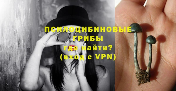 мяу мяу кристалл Иннополис