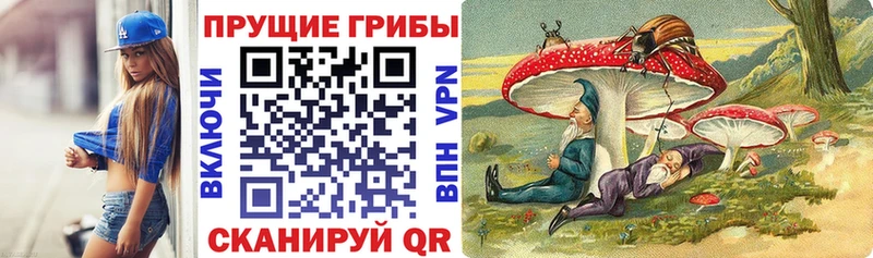Купить где  Дудинка  Галлюциногенные грибы Magic Shrooms 