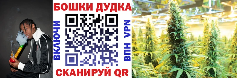 Конопля семена  Купить закладки  Дудинка 